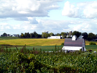 House and Field